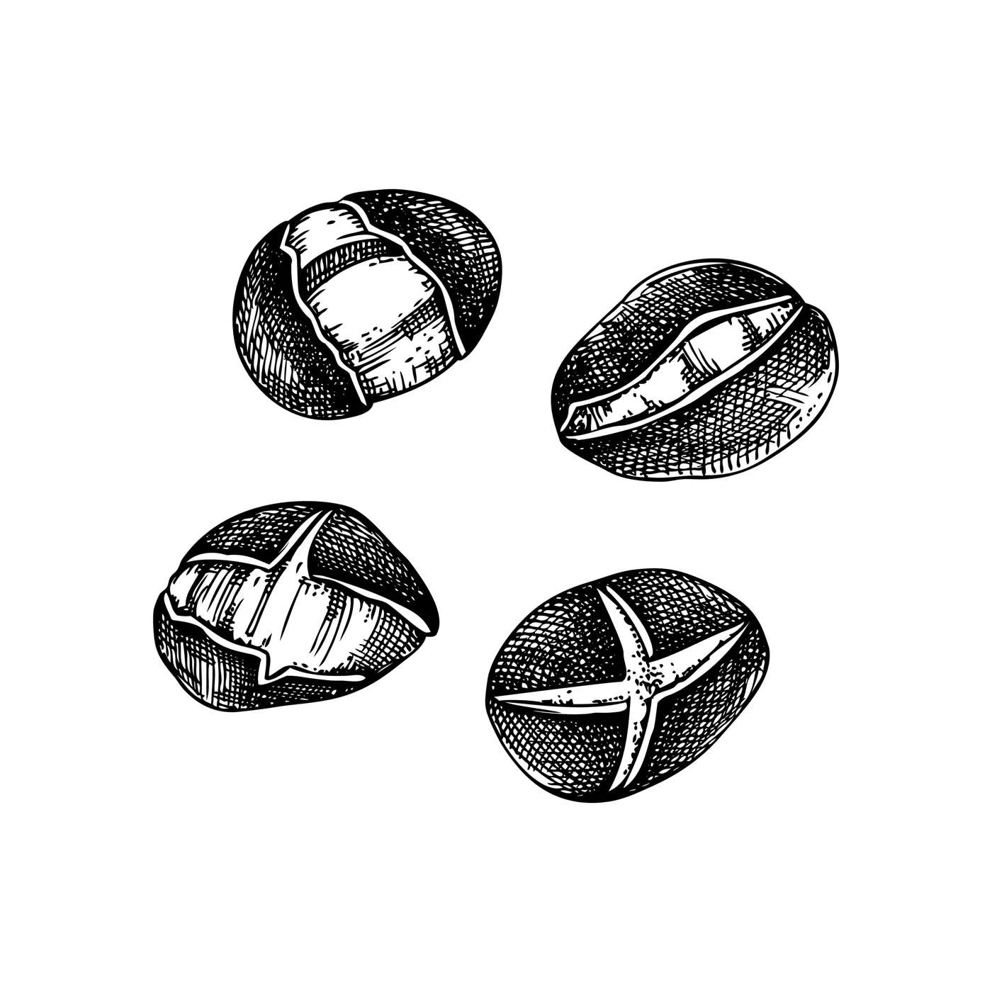 Roasted chestnut sketches set. Hand-drawn vector illustration. Traditional European Christmas market, fast food design element in engraved style for label and packaging. Illustration